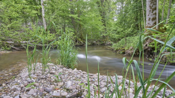 3.7 Langenthal